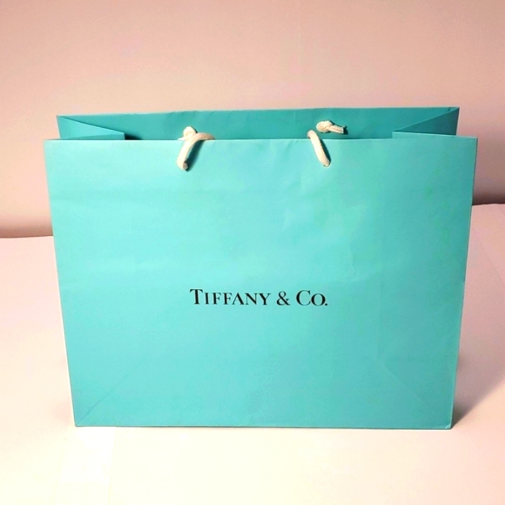 Tiffany & Co Paper Shopping Bag Medium with white handles
